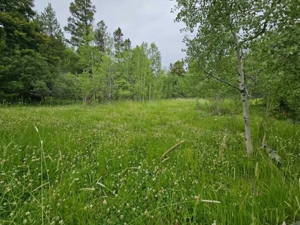 Nhn Hoover Creek Road Helmville MT 59843