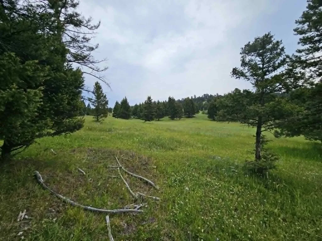 Nhn Hoover Creek Road Helmville MT 59843
