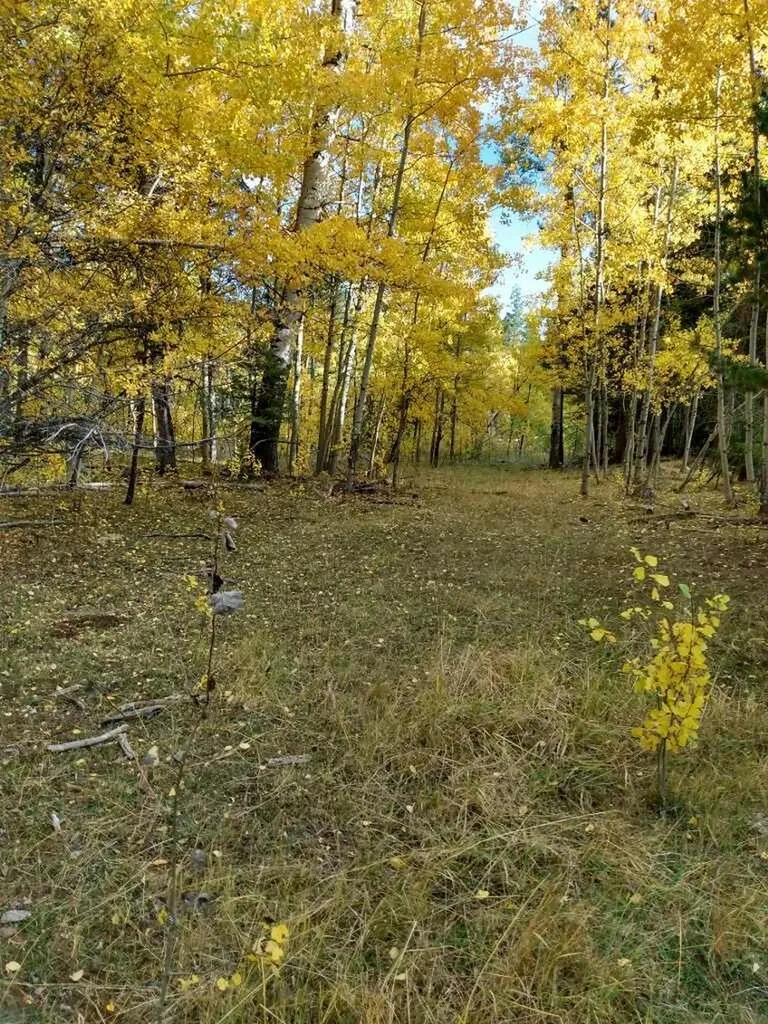 Nhn Hoover Creek Road Helmville MT 59843