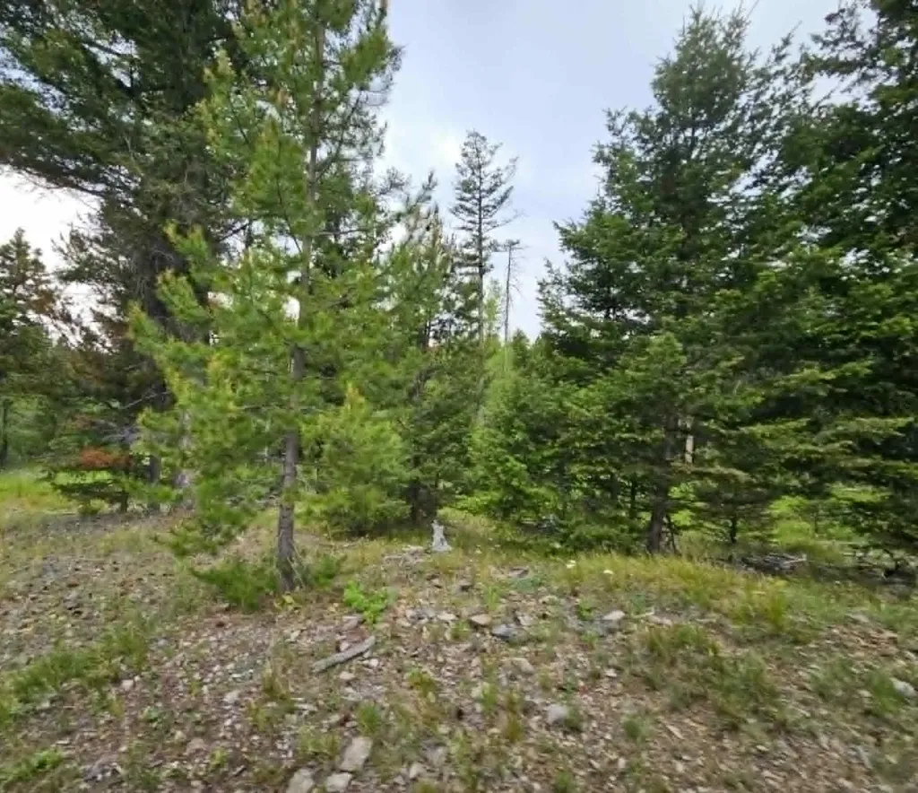 Nhn Hoover Creek Road Helmville MT 59843