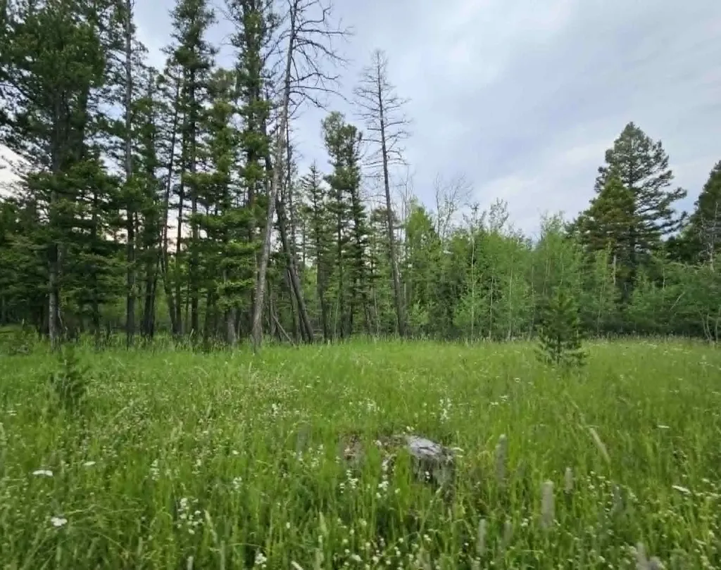 Nhn Hoover Creek Road Helmville MT 59843