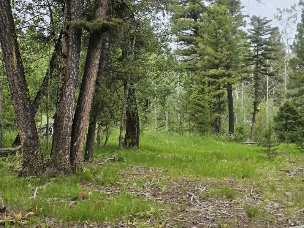 Nhn Hoover Creek Road Helmville MT 59843