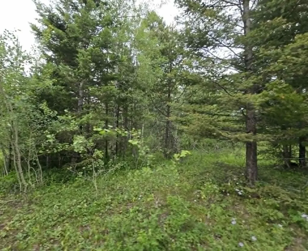 Nhn Hoover Creek Road Helmville MT 59843