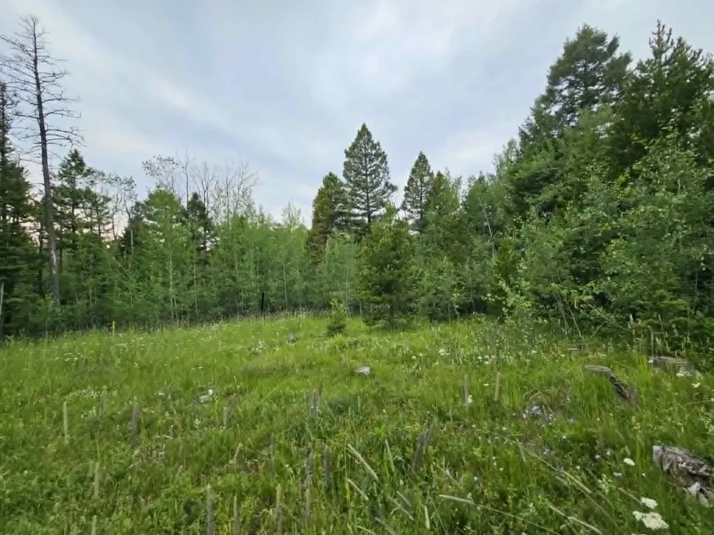 Nhn Hoover Creek Road Helmville MT 59843
