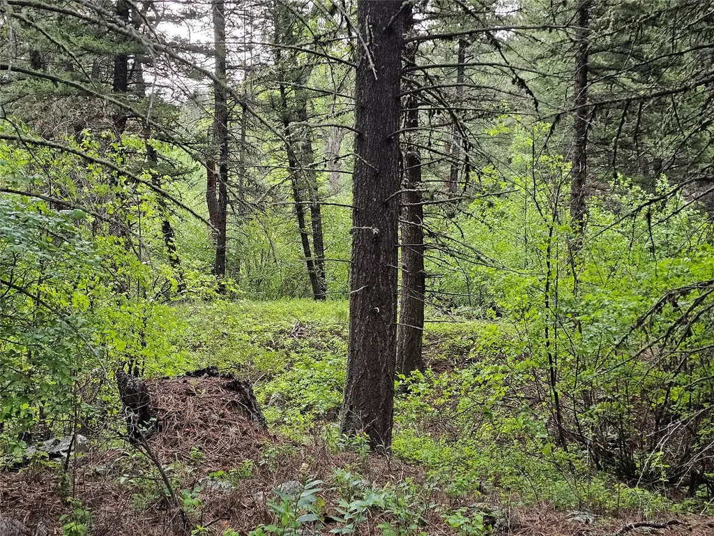 Nhn Upper Sawmill Creek Lane Cascade MT 59421