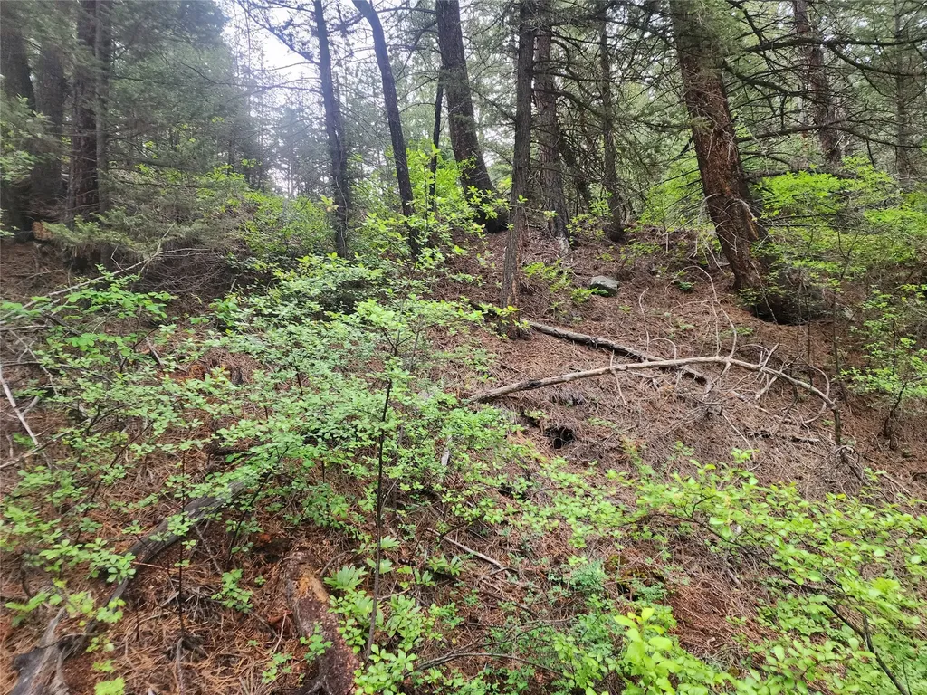 Nhn Upper Sawmill Creek Lane Cascade MT 59421