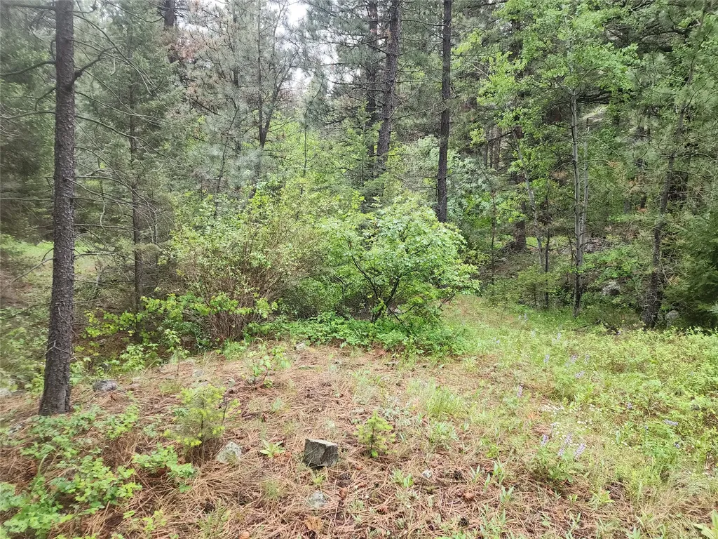 Nhn Upper Sawmill Creek Lane Cascade MT 59421
