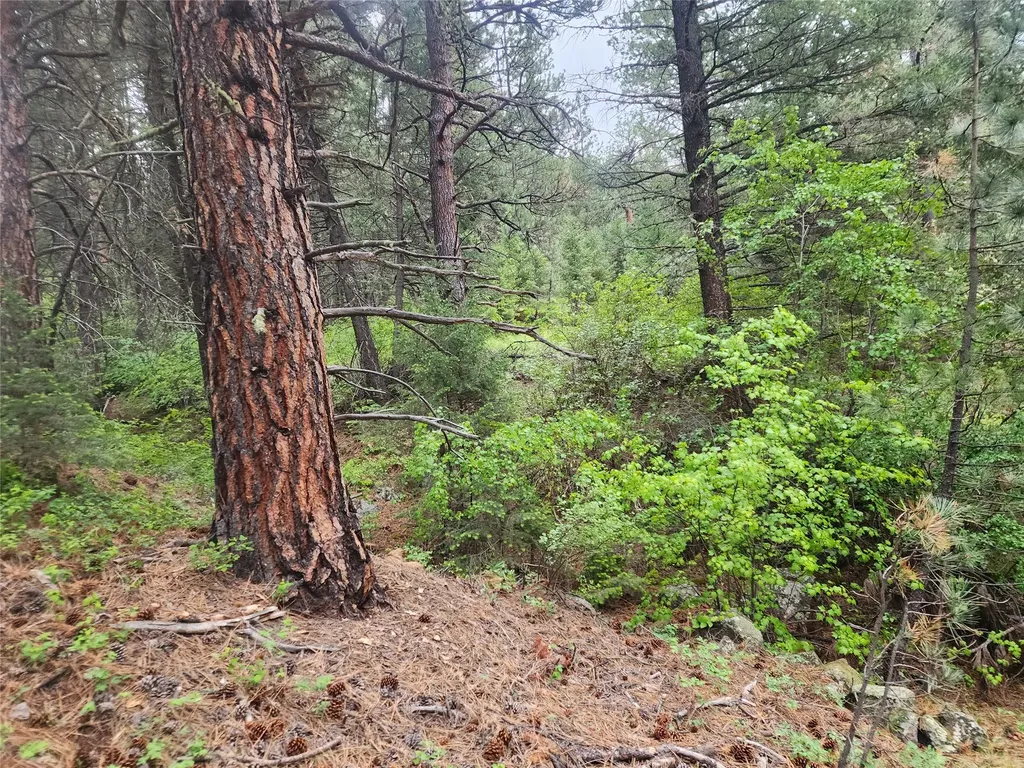 Nhn Upper Sawmill Creek Lane Cascade MT 59421