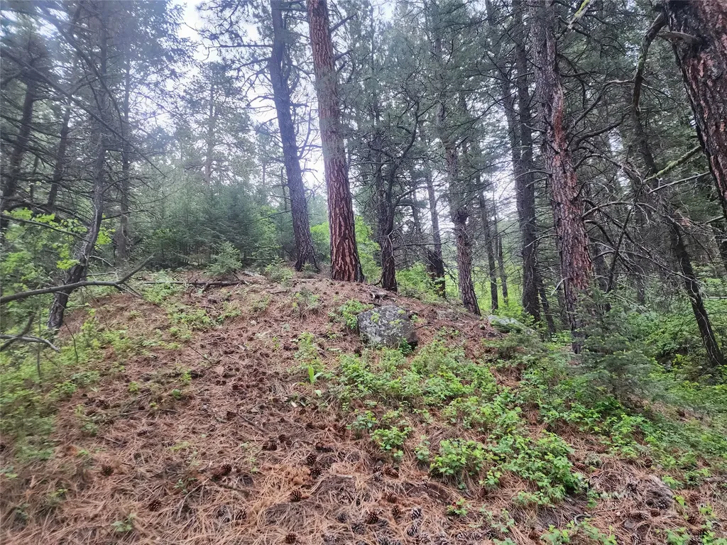 Nhn Upper Sawmill Creek Lane Cascade MT 59421