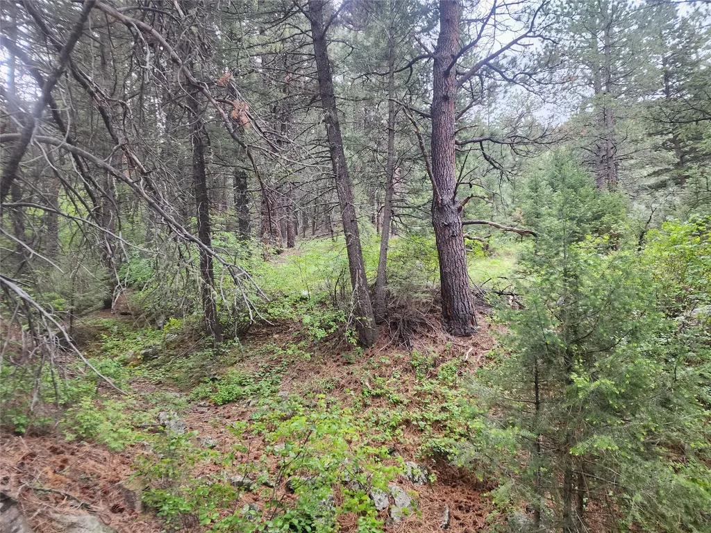 Nhn Upper Sawmill Creek Lane Cascade MT 59421