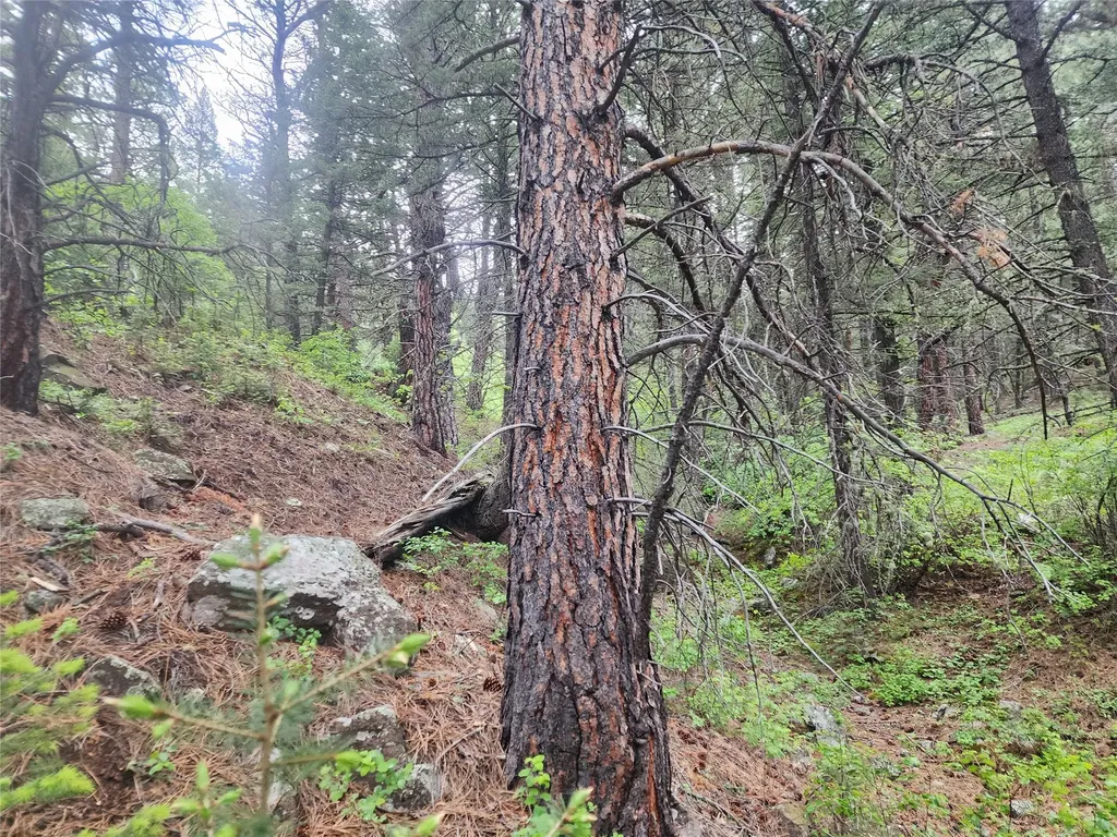 Nhn Upper Sawmill Creek Lane Cascade MT 59421