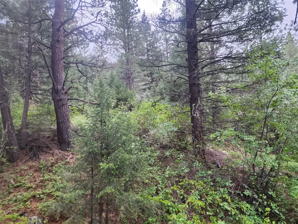 Nhn Upper Sawmill Creek Lane Cascade MT 59421