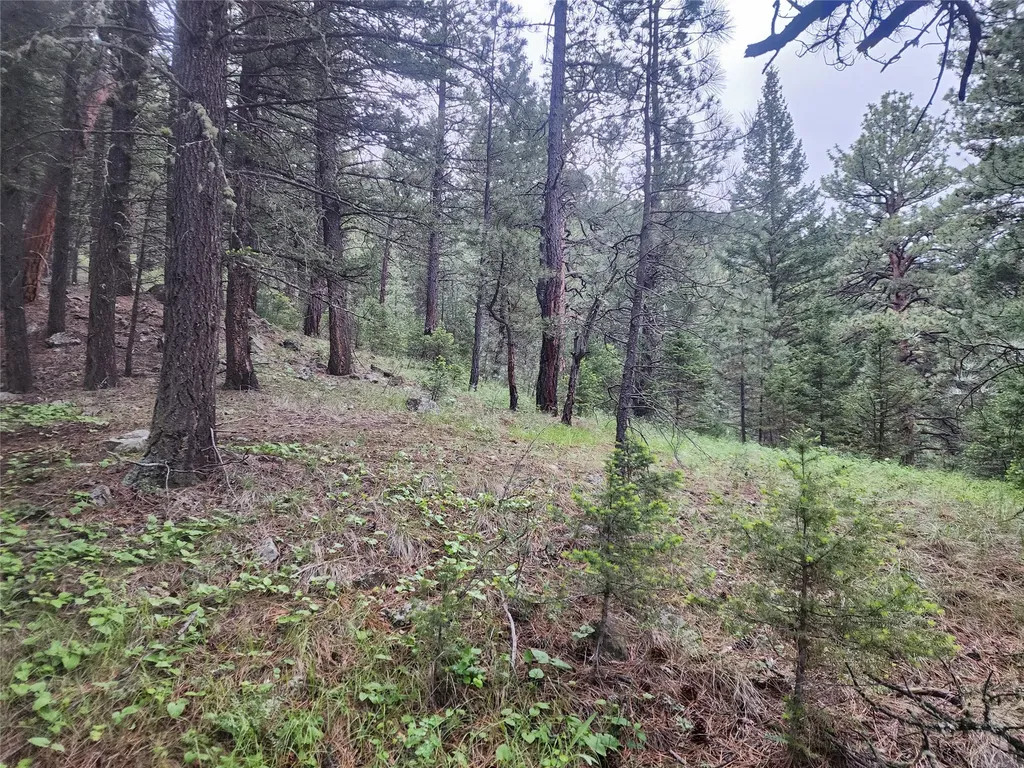 Nhn Upper Sawmill Creek Lane Cascade MT 59421