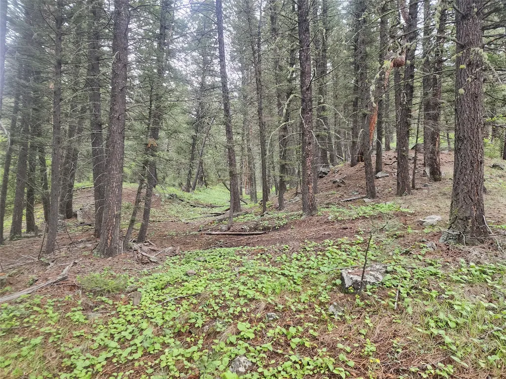 Nhn Upper Sawmill Creek Lane Cascade MT 59421