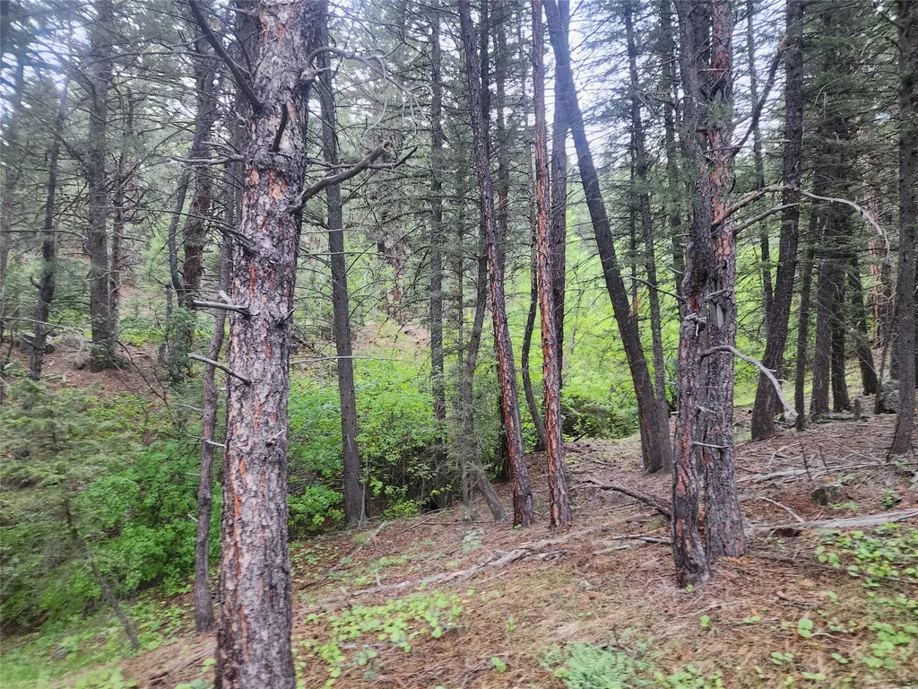Nhn Upper Sawmill Creek Lane Cascade MT 59421
