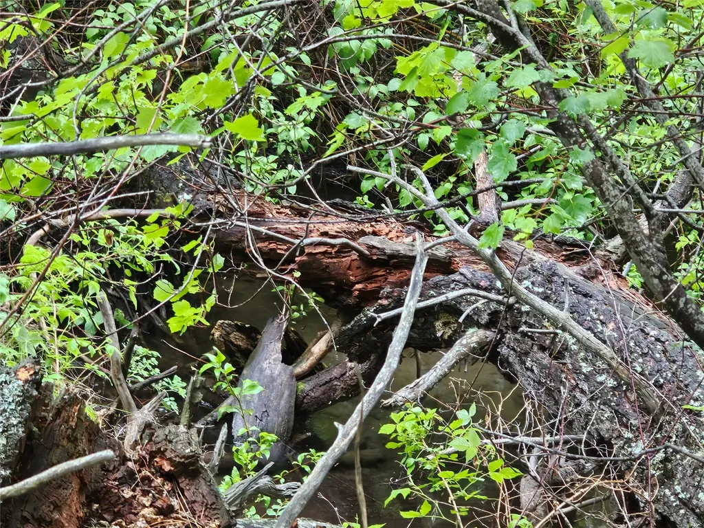Nhn Upper Sawmill Creek Lane Cascade MT 59421