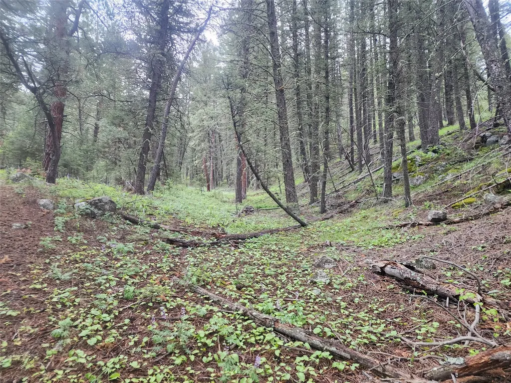 Nhn Upper Sawmill Creek Lane Cascade MT 59421