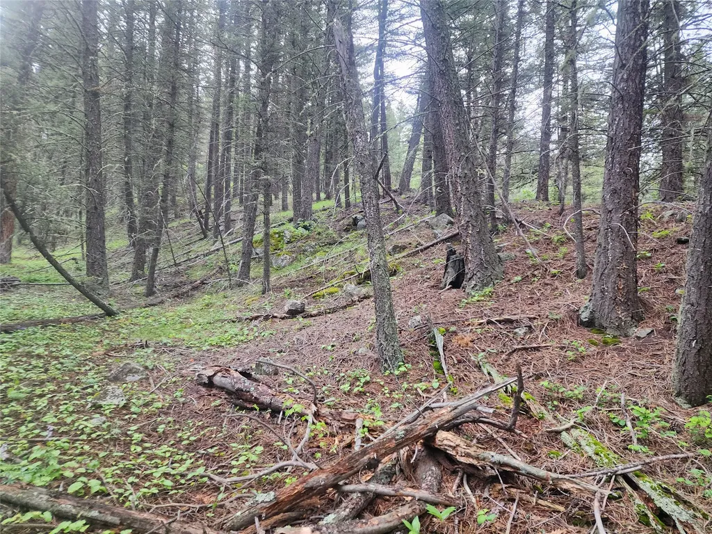 Nhn Upper Sawmill Creek Lane Cascade MT 59421