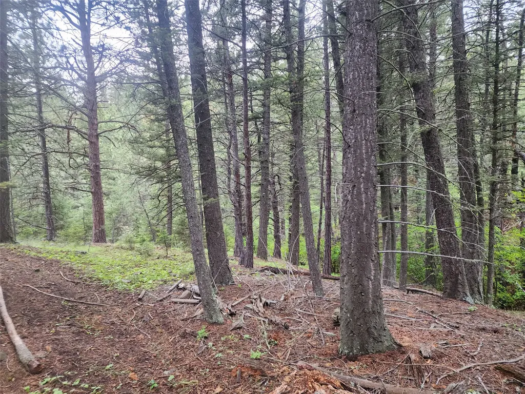 Nhn Upper Sawmill Creek Lane Cascade MT 59421