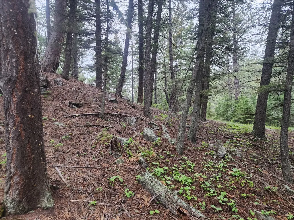 Nhn Upper Sawmill Creek Lane Cascade MT 59421