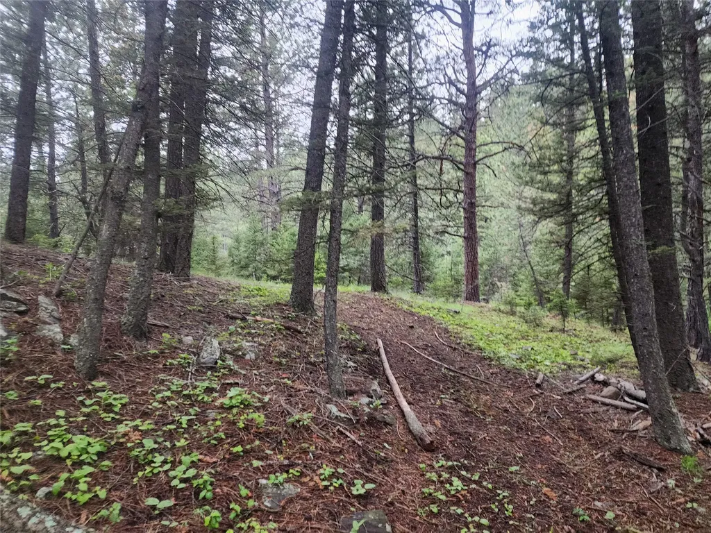 Nhn Upper Sawmill Creek Lane Cascade MT 59421