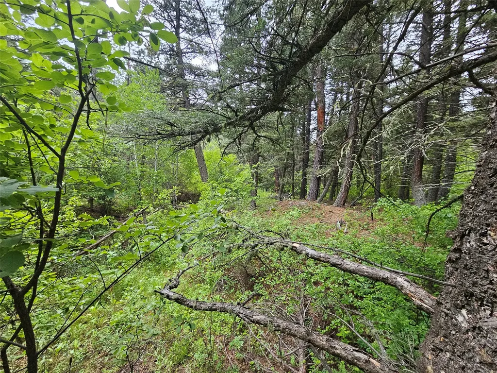 Nhn Upper Sawmill Creek Lane Cascade MT 59421