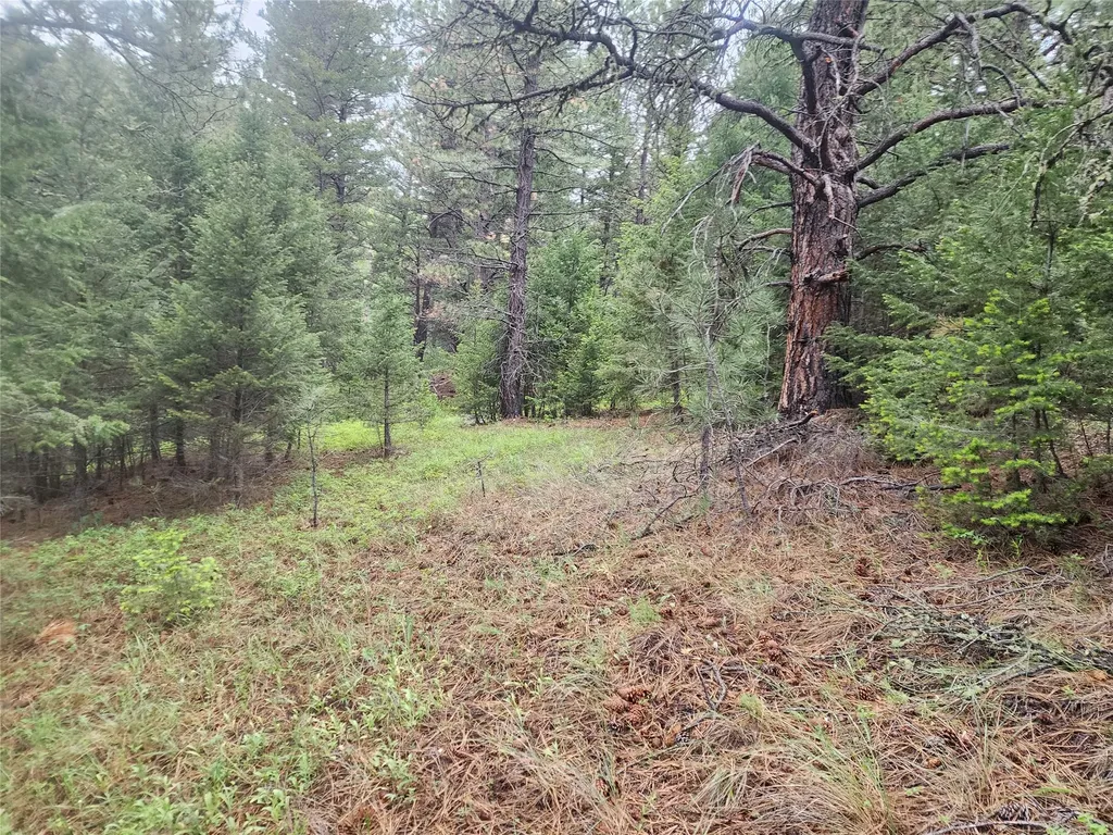 Nhn Upper Sawmill Creek Lane Cascade MT 59421
