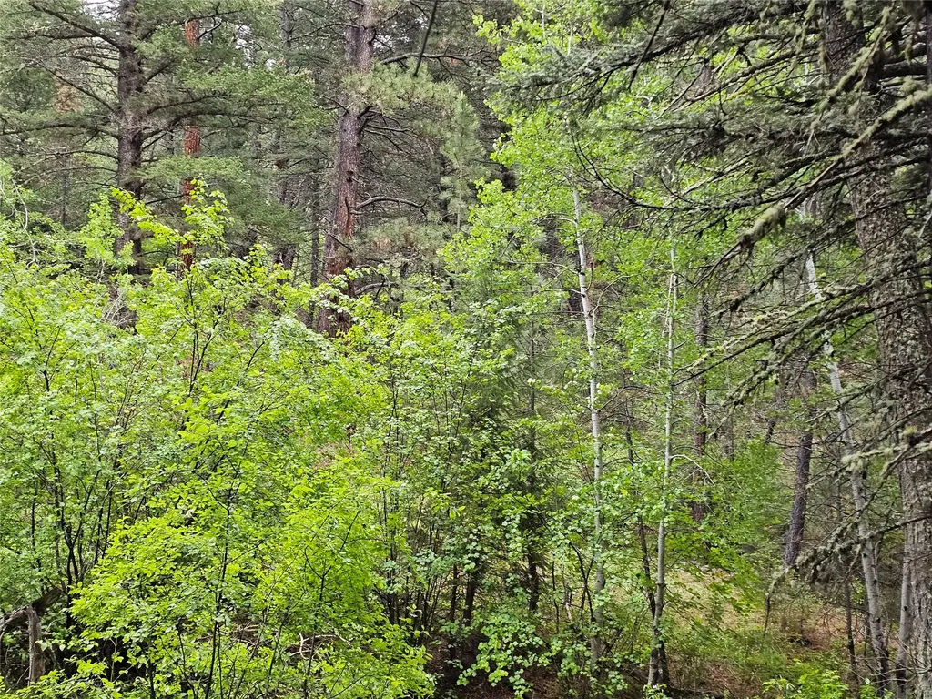 Nhn Upper Sawmill Creek Lane Cascade MT 59421