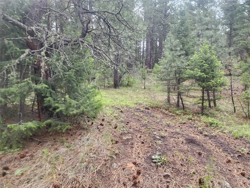 Nhn Upper Sawmill Creek Lane Cascade MT 59421