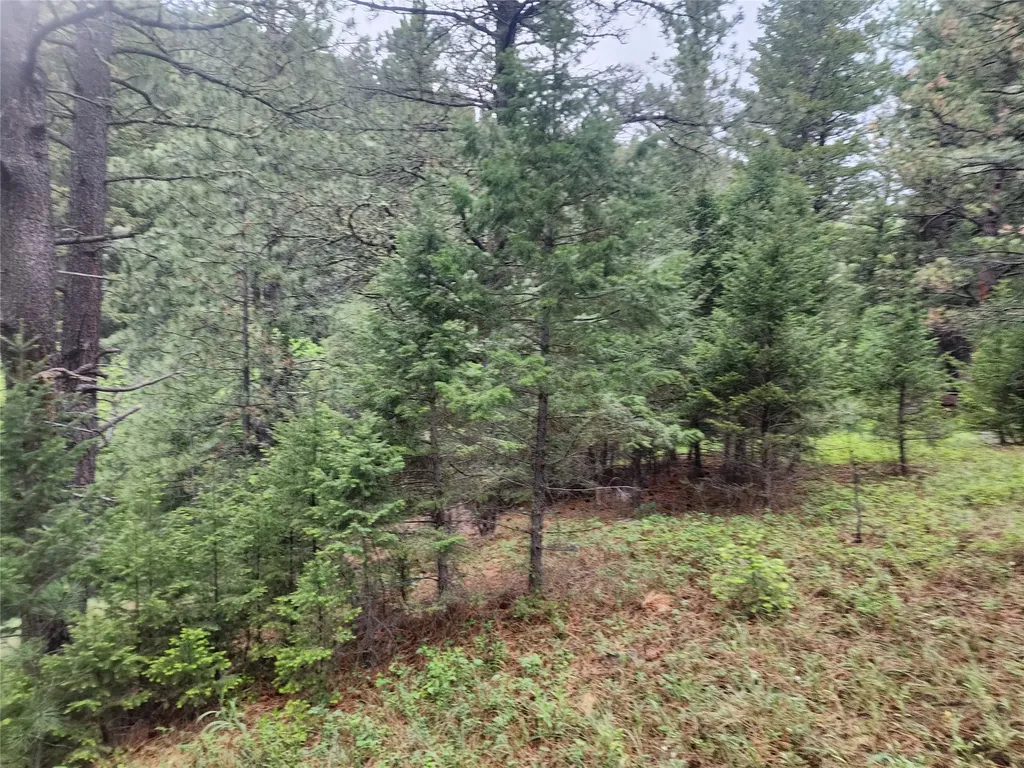 Nhn Upper Sawmill Creek Lane Cascade MT 59421