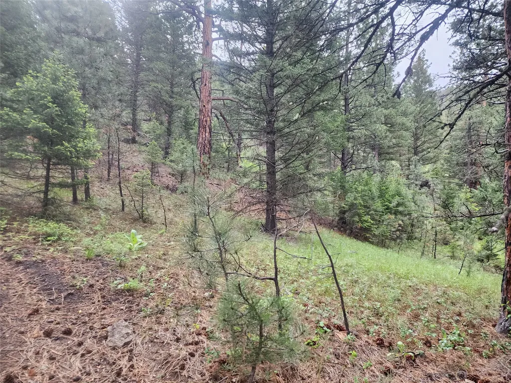 Nhn Upper Sawmill Creek Lane Cascade MT 59421