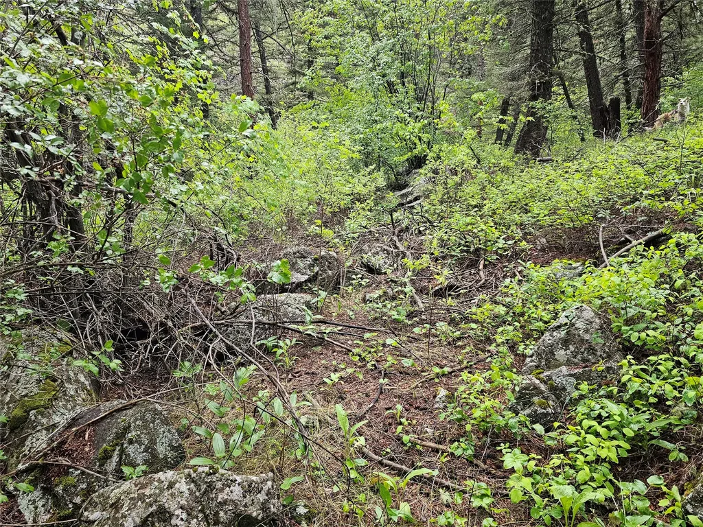 Nhn Upper Sawmill Creek Lane Cascade MT 59421