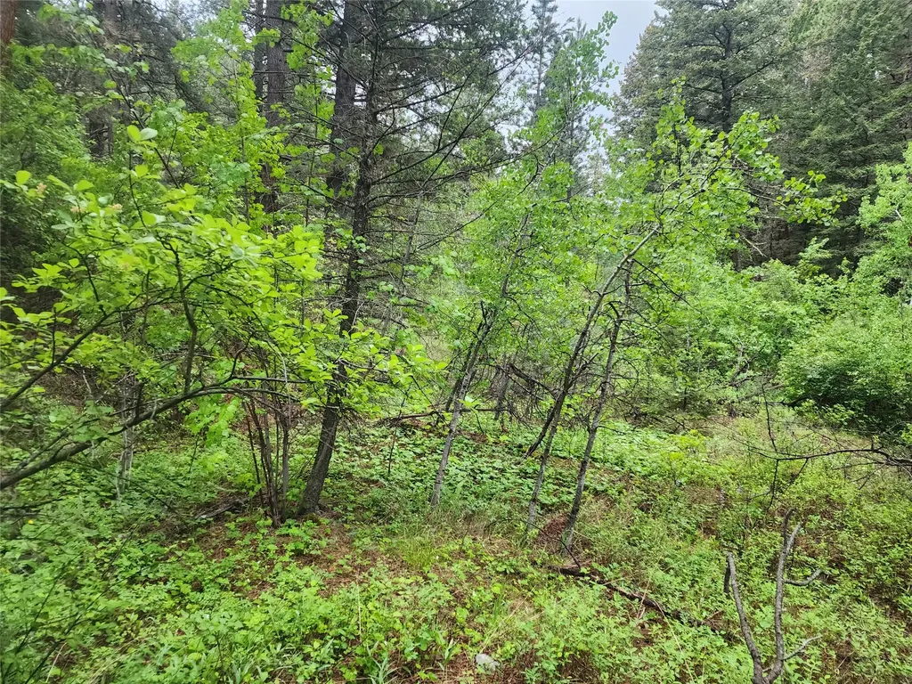 Nhn Upper Sawmill Creek Lane Cascade MT 59421