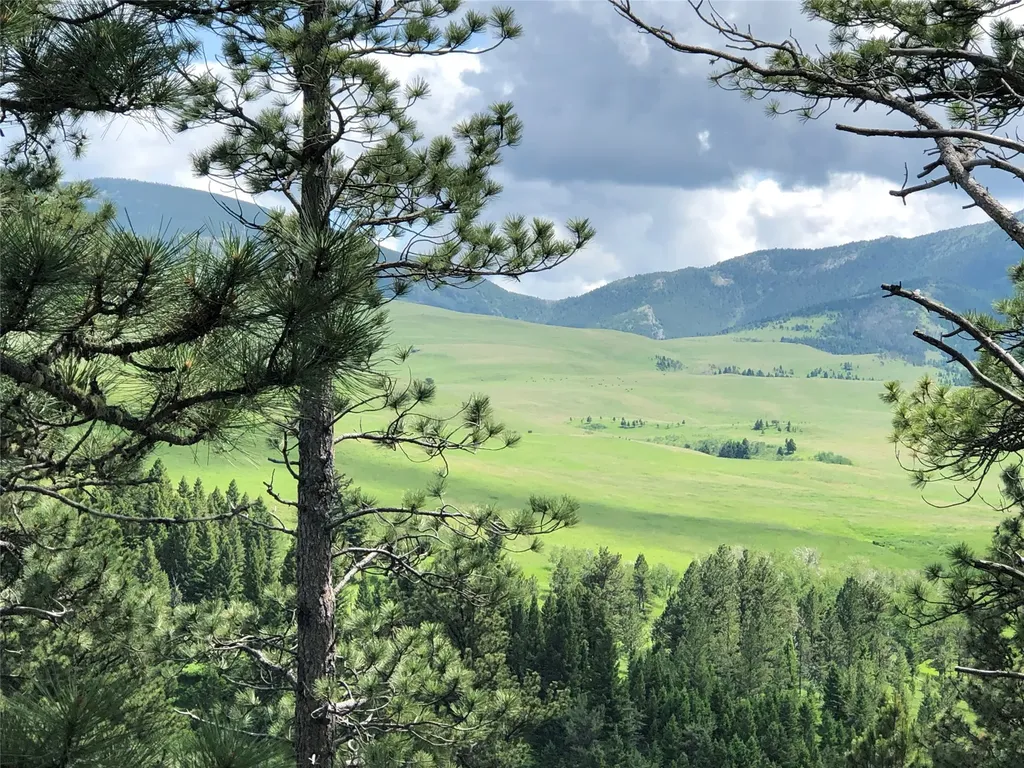 Tbd Arrowood Estates Road Raynesford MT 59469