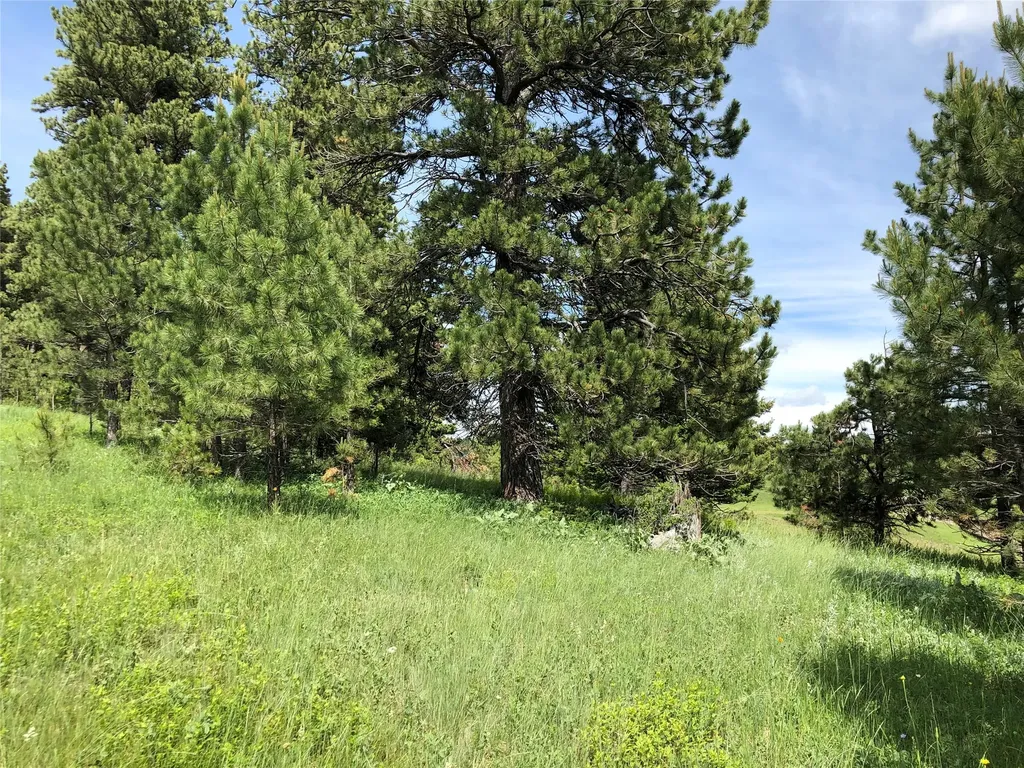 Tbd Arrowood Estates Road Raynesford MT 59469