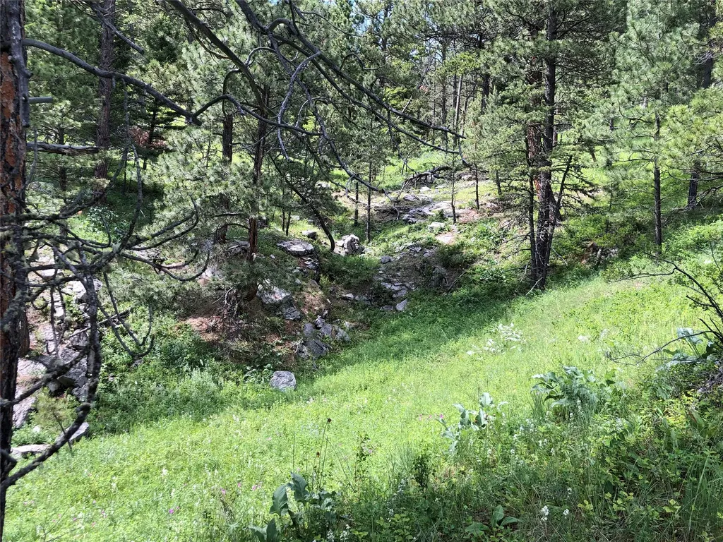 Tbd Arrowood Estates Road Raynesford MT 59469