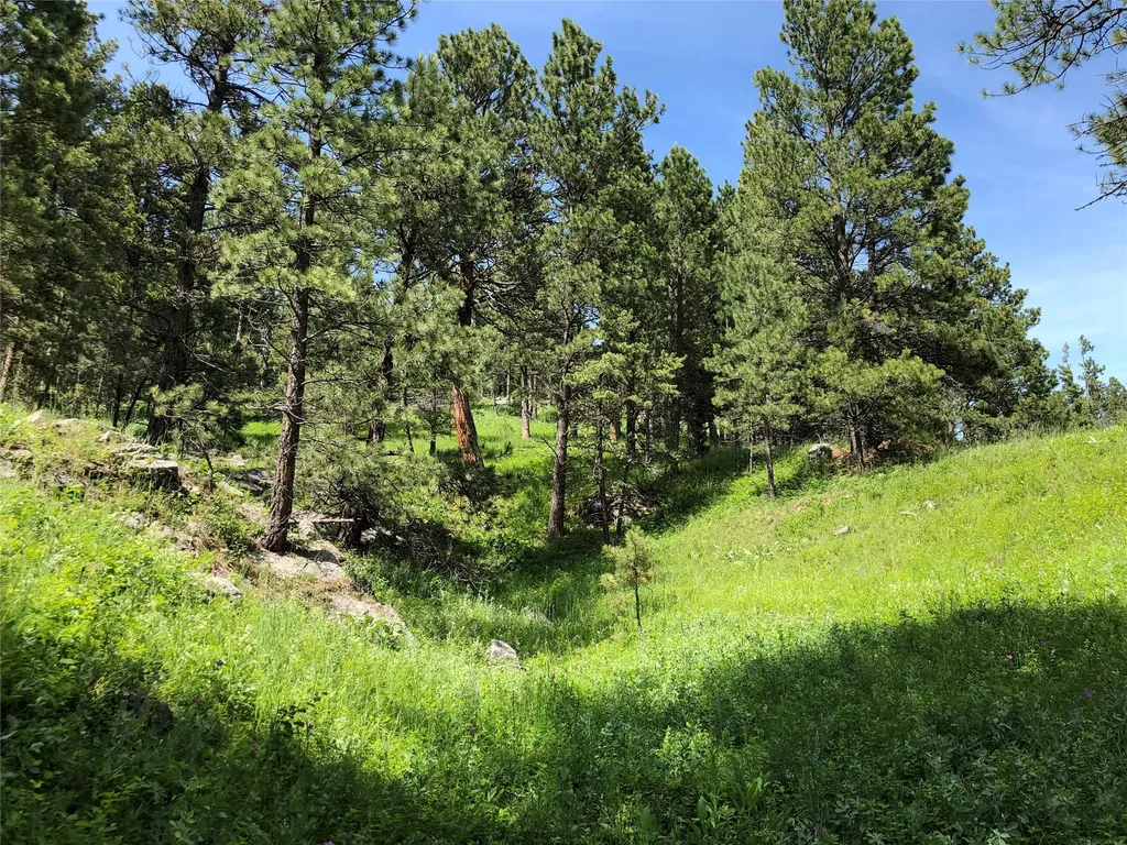 Tbd Arrowood Estates Road Raynesford MT 59469