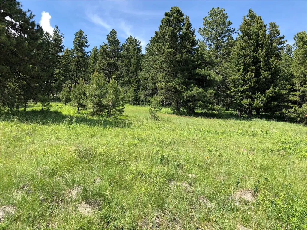 Tbd Arrowood Estates Road Raynesford MT 59469