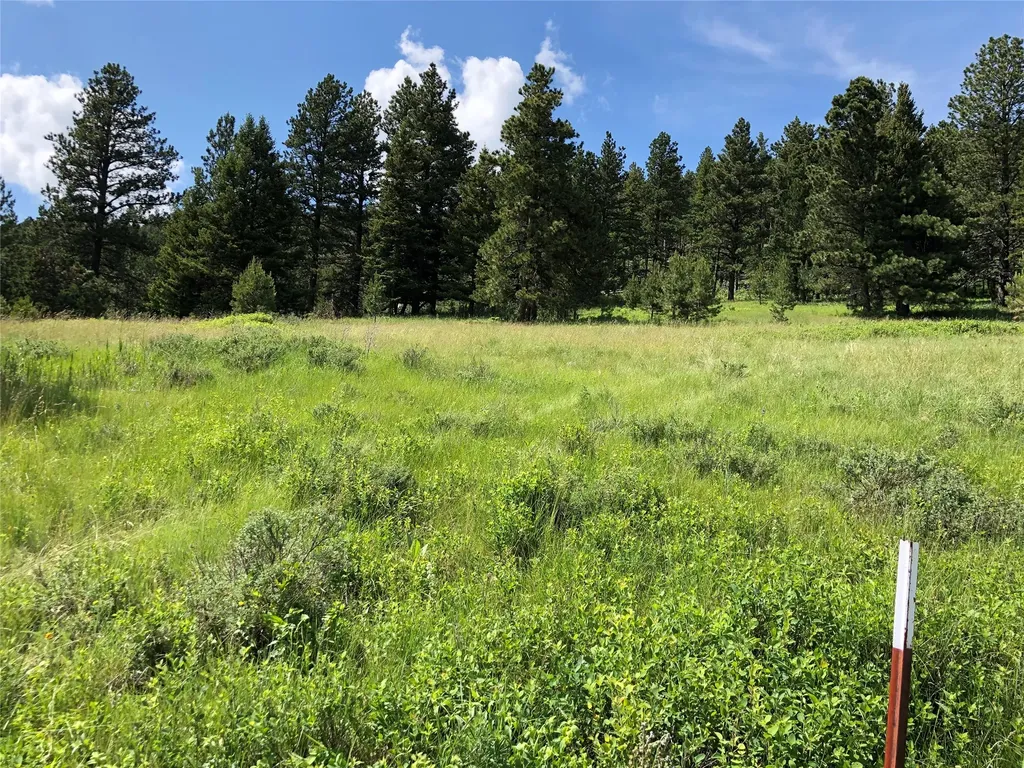 Tbd Arrowood Estates Road Raynesford MT 59469