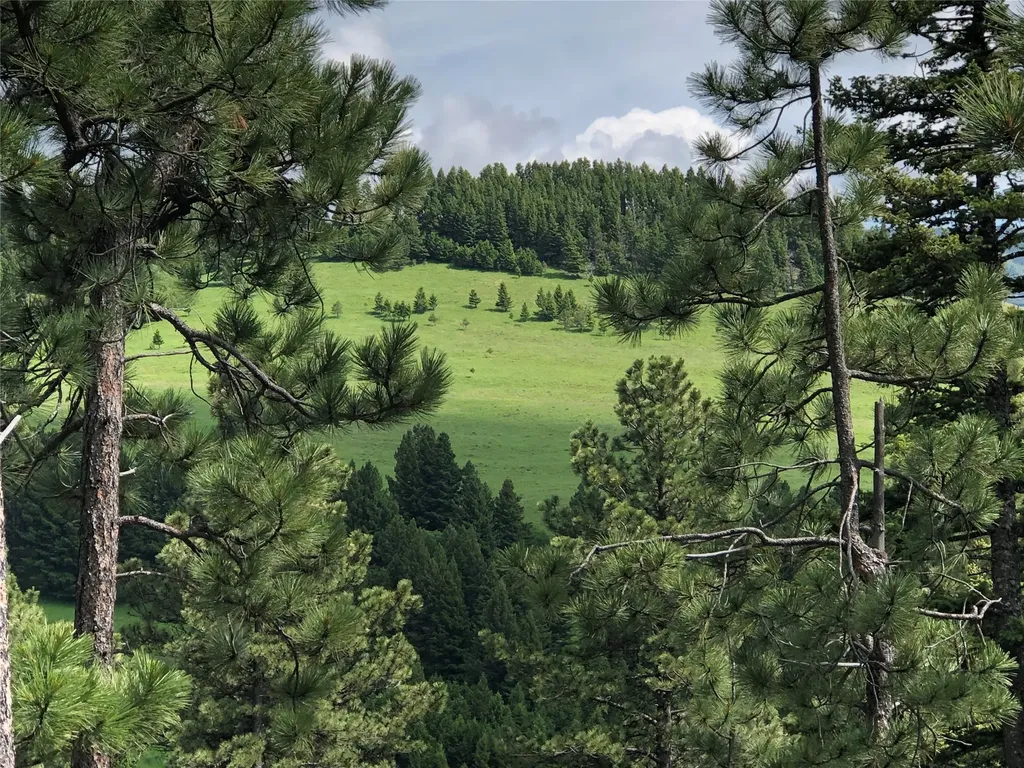 Tbd Arrowood Estates Road Raynesford MT 59469
