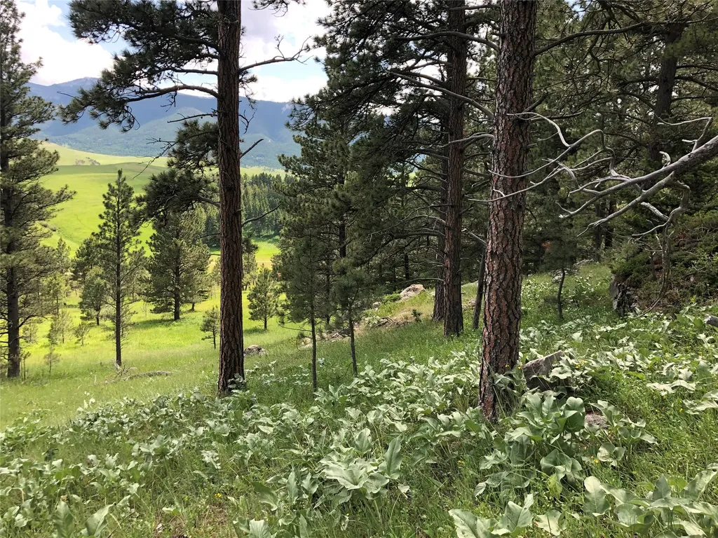 Tbd Arrowood Estates Road Raynesford MT 59469