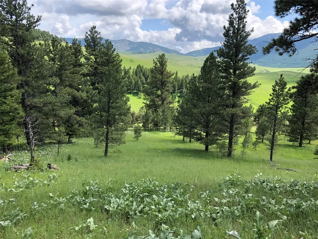 Tbd Arrowood Estates Road Raynesford MT 59469