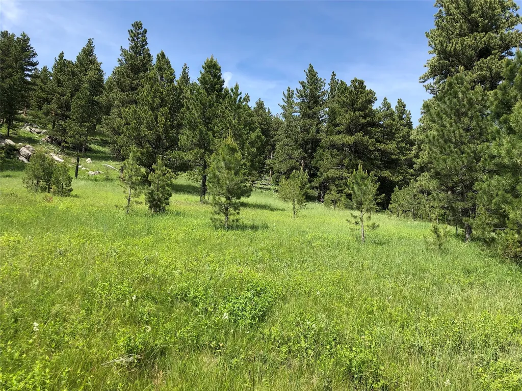 Tbd Arrowood Estates Road Raynesford MT 59469