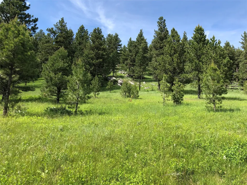 Tbd Arrowood Estates Road Raynesford MT 59469