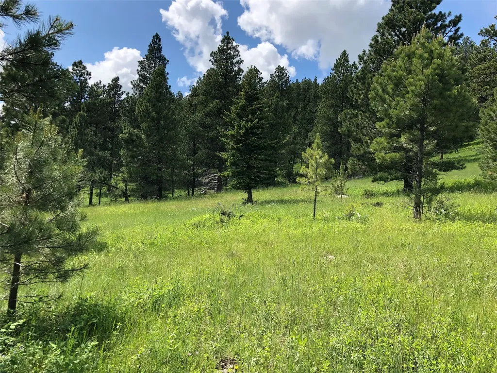 Tbd Arrowood Estates Road Raynesford MT 59469