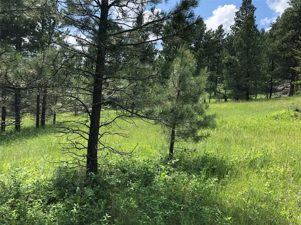 Tbd Arrowood Estates Road Raynesford MT 59469