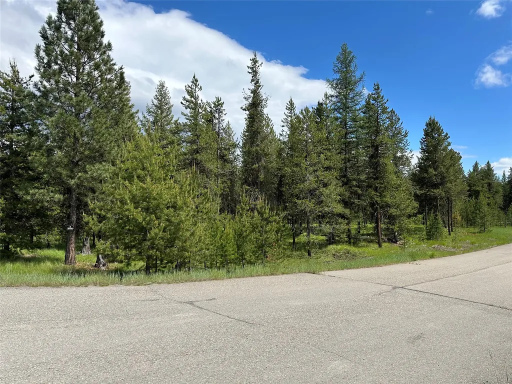 Nhn Lot 42 Loon Connector Road Libby MT 59923