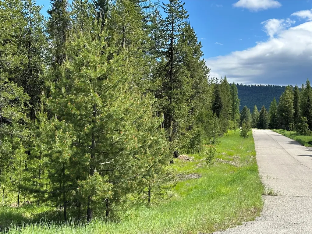 Nhn Lot 42 Loon Connector Road Libby MT 59923