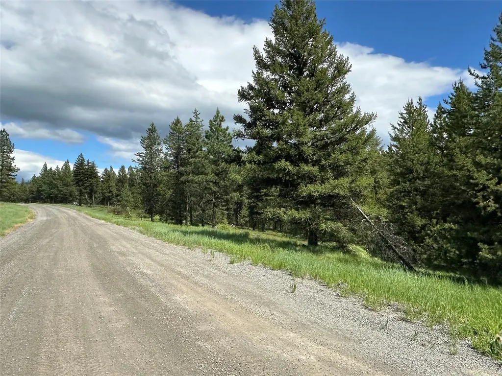 Nhn Lot 42 Loon Connector Road Libby MT 59923