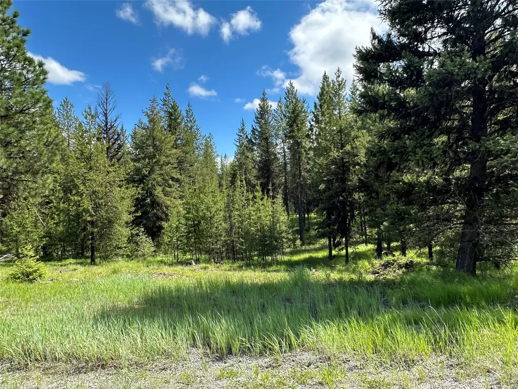 Nhn Lot 42 Loon Connector Road Libby MT 59923